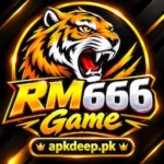 RM6661 Game