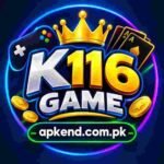 K116 Game
